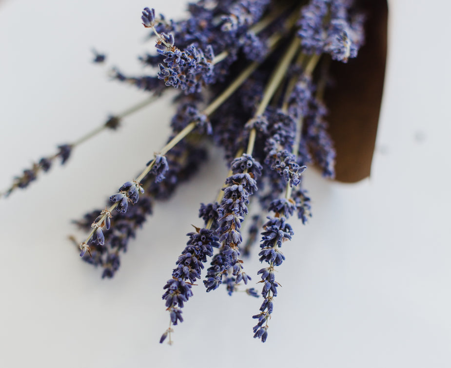 Bos gedroogde lavendel op een witte ondergrond